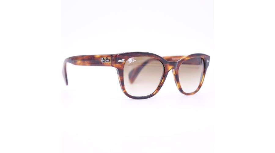 Ray-Ban RB0880S 654/51