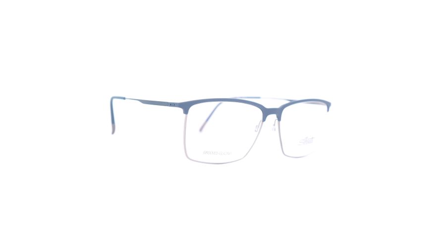 Silhouette SILHOUETTE 2946-5010