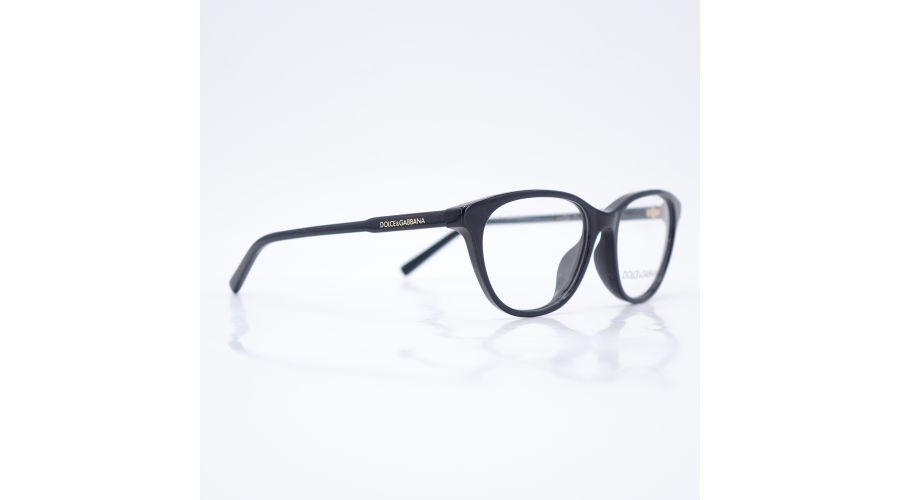 Dolce & Gabbana 0DX3002-501