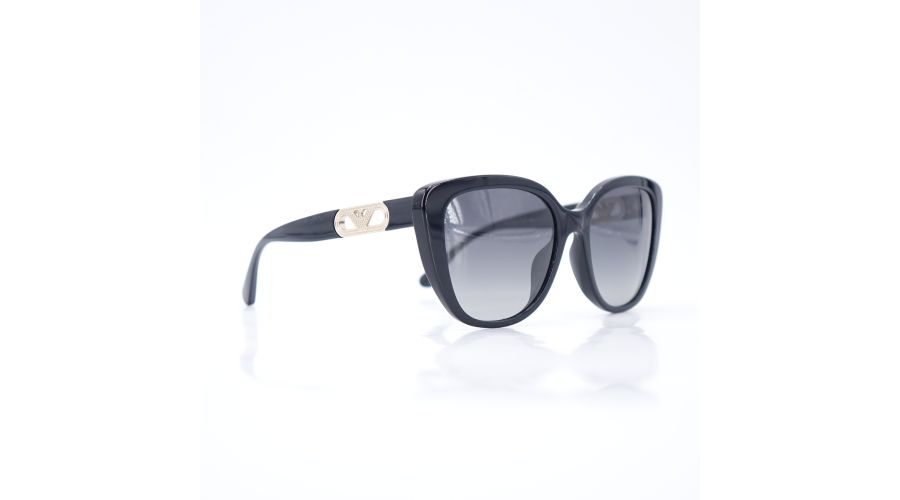 Emporio Armani 0EA4214U-5017/8G