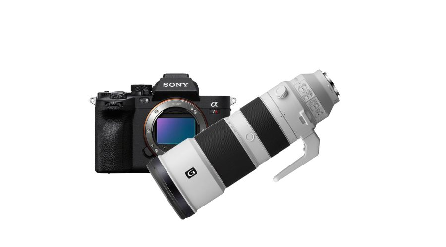 Sony A7R VI + FE 200-600mm f/5.6-6.3 G OSS