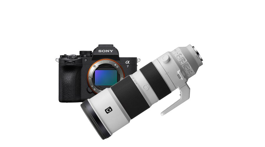 Sony A7 V + FE 200-600mm f/5.6-6.3 G OSS
