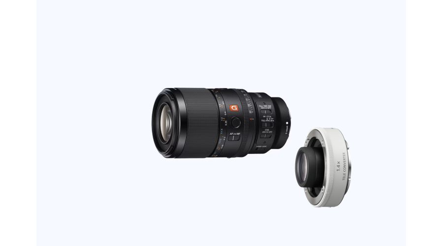 Sony FE 100 mm F2.8 Macro GM OSS + SONY TC 1.4X