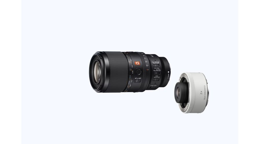 Sony FE 100 mm F2.8 Macro GM OSS + SONY TC 2X
