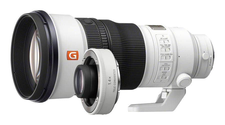Sony FE 300mm f/2.8 GM OSS + SONY TC 1.4X