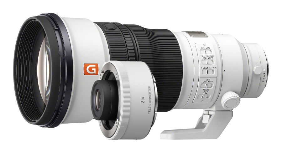 Sony FE 300mm f/2.8 GM OSS + SONY TC 2X